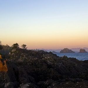 Meet your Posher, Gregory